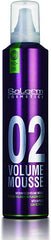 Salerm Pro Line 02 Volume Mousse for Medium Hold, 10.4 oz